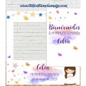 Photocall y Cartel de Comunión de Niña de mariposas